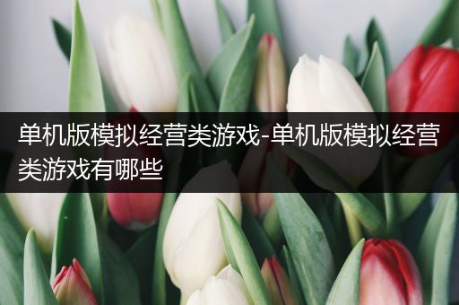 单机版模拟经营类游戏-单机版模拟经营类游戏有哪些