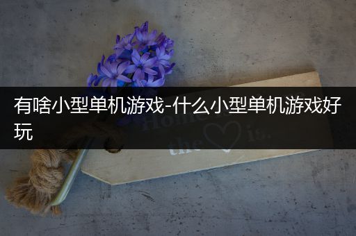 有啥小型单机游戏-什么小型单机游戏好玩