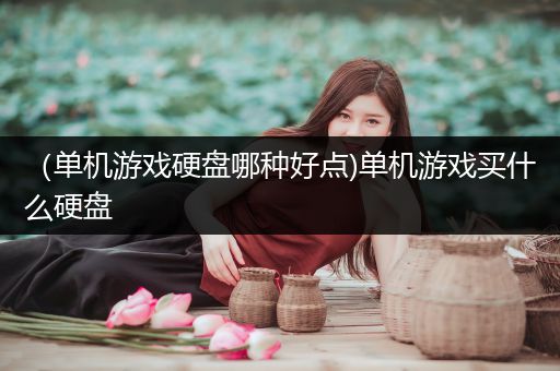 （单机游戏硬盘哪种好点)单机游戏买什么硬盘
