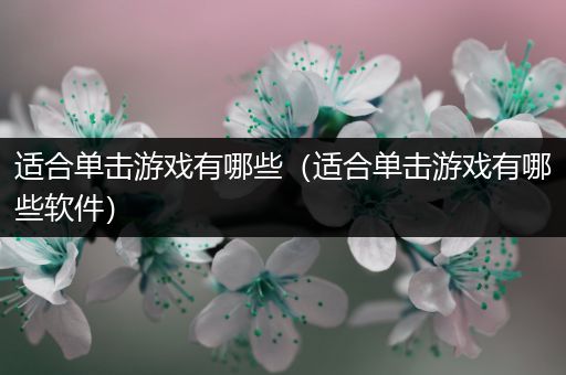 适合单击游戏有哪些（适合单击游戏有哪些软件）