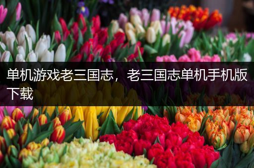 单机游戏老三国志，老三国志单机手机版下载