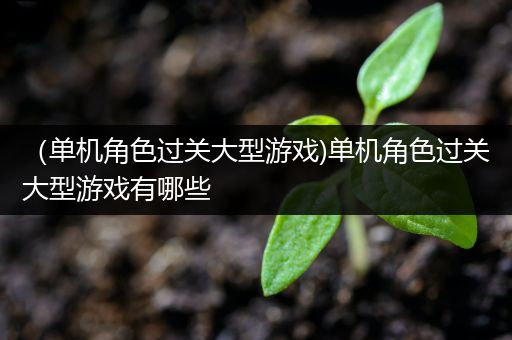 （单机角色过关大型游戏)单机角色过关大型游戏有哪些