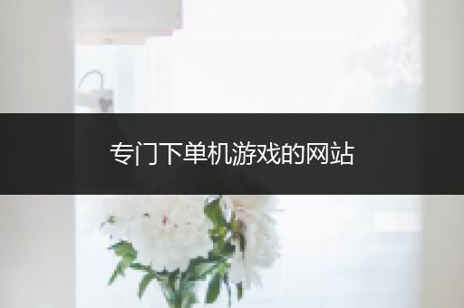 专门下单机游戏的网站