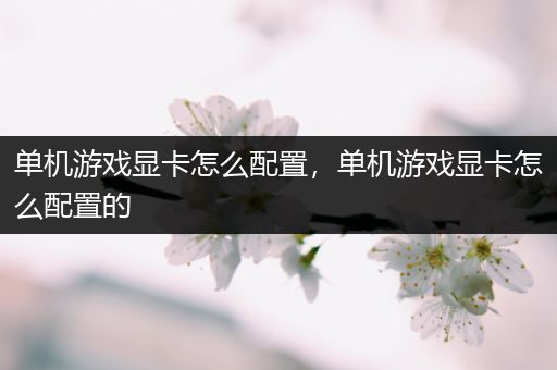 单机游戏显卡怎么配置，单机游戏显卡怎么配置的