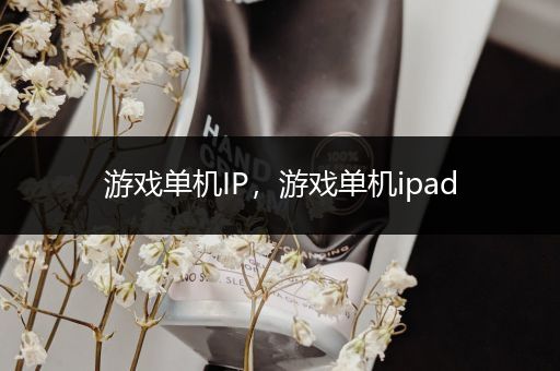 游戏单机IP，游戏单机ipad