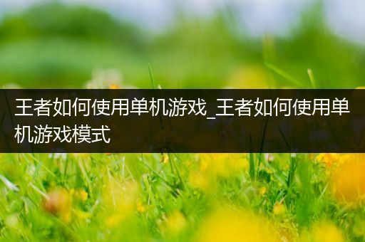 王者如何使用单机游戏_王者如何使用单机游戏模式