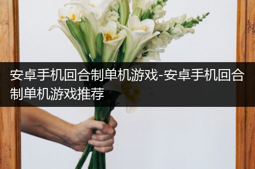 安卓手机回合制单机游戏-安卓手机回合制单机游戏推荐