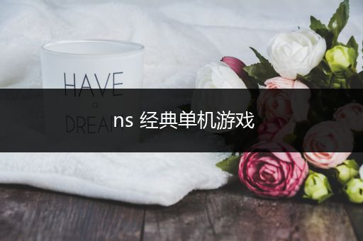 ns 经典单机游戏