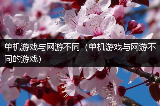 单机游戏与网游不同（单机游戏与网游不同的游戏）
