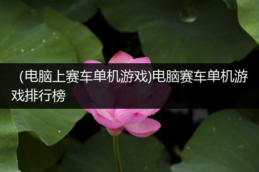 （电脑上赛车单机游戏)电脑赛车单机游戏排行榜