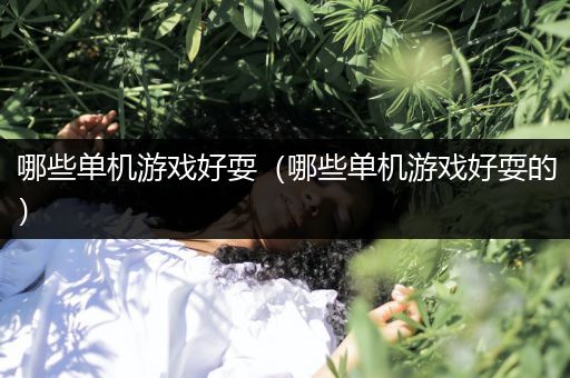 哪些单机游戏好耍（哪些单机游戏好耍的）