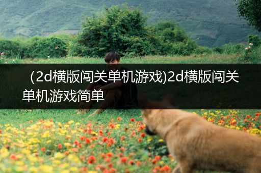 （2d横版闯关单机游戏)2d横版闯关单机游戏简单