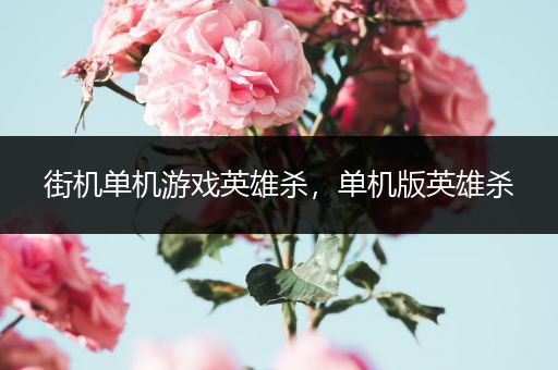 街机单机游戏英雄杀，单机版英雄杀