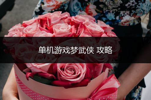 单机游戏梦武侠 攻略