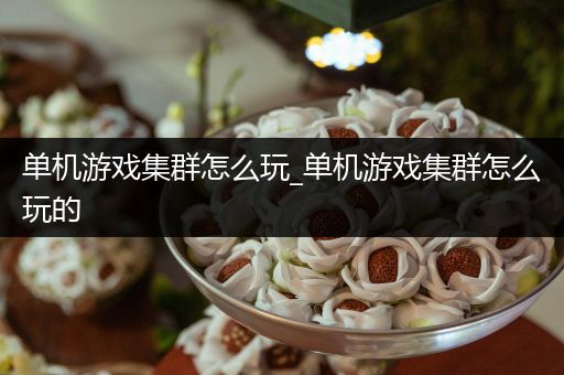 单机游戏集群怎么玩_单机游戏集群怎么玩的