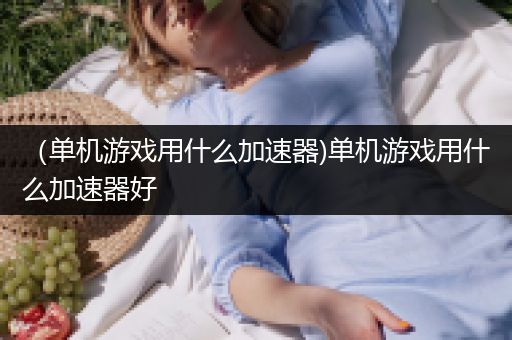 （单机游戏用什么加速器)单机游戏用什么加速器好