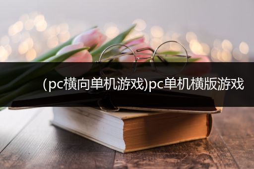 （pc横向单机游戏)pc单机横版游戏