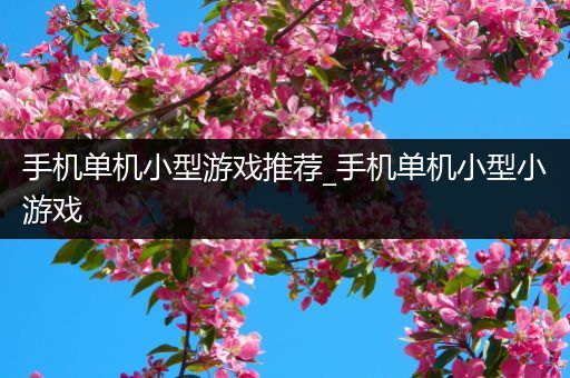 手机单机小型游戏推荐_手机单机小型小游戏