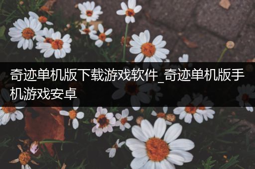 奇迹单机版下载游戏软件_奇迹单机版手机游戏安卓