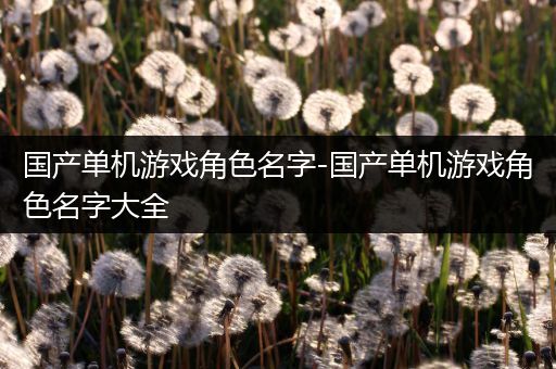 国产单机游戏角色名字-国产单机游戏角色名字大全