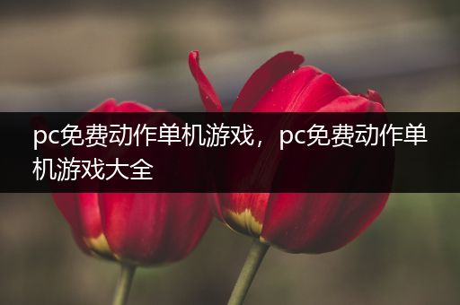 pc免费动作单机游戏，pc免费动作单机游戏大全