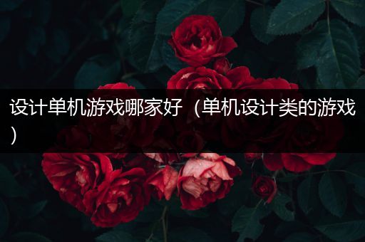 设计单机游戏哪家好（单机设计类的游戏）
