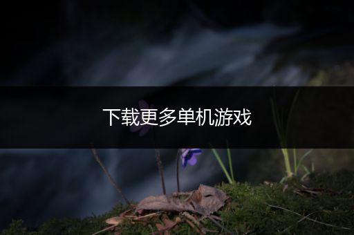 下载更多单机游戏