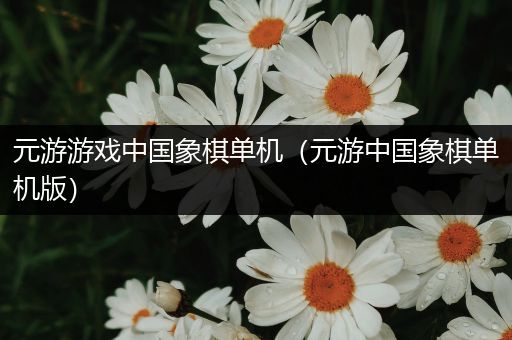 元游游戏中国象棋单机（元游中国象棋单机版）