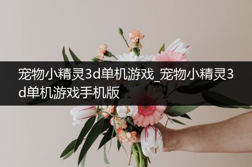 宠物小精灵3d单机游戏_宠物小精灵3d单机游戏手机版
