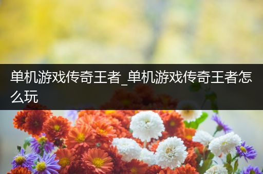 单机游戏传奇王者_单机游戏传奇王者怎么玩
