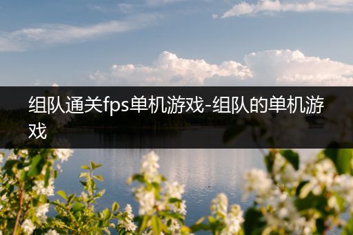 组队通关fps单机游戏-组队的单机游戏