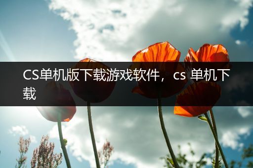 CS单机版下载游戏软件，cs 单机下载