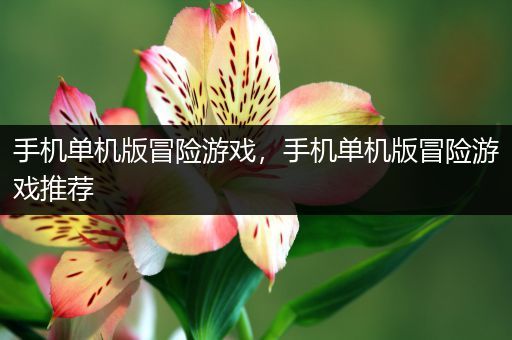 手机单机版冒险游戏，手机单机版冒险游戏推荐