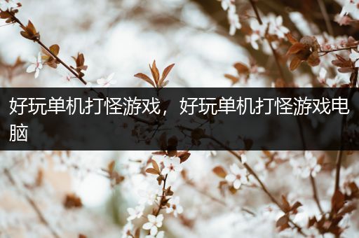 好玩单机打怪游戏，好玩单机打怪游戏电脑