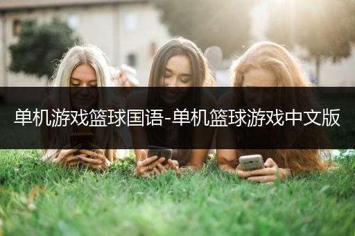 单机游戏篮球国语-单机篮球游戏中文版
