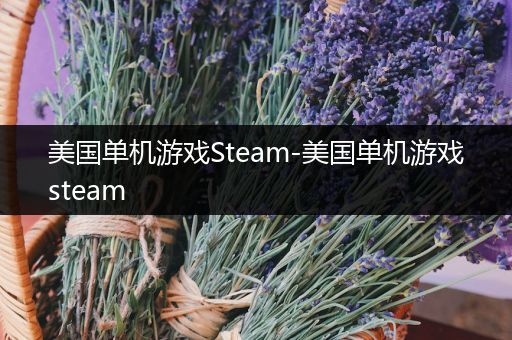 美国单机游戏Steam-美国单机游戏steam