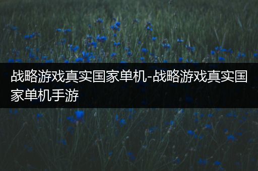 战略游戏真实国家单机-战略游戏真实国家单机手游