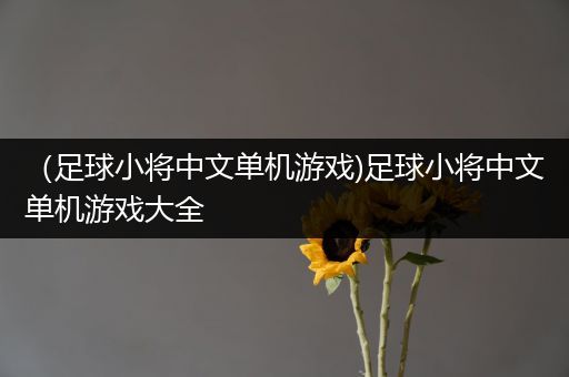 （足球小将中文单机游戏)足球小将中文单机游戏大全