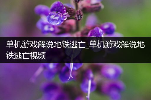 单机游戏解说地铁逃亡_单机游戏解说地铁逃亡视频