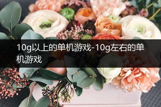 10g以上的单机游戏-10g左右的单机游戏