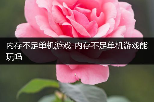 内存不足单机游戏-内存不足单机游戏能玩吗