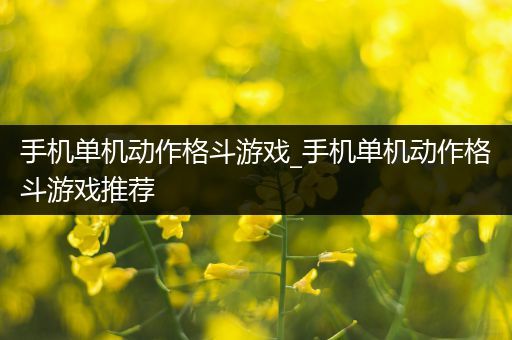 手机单机动作格斗游戏_手机单机动作格斗游戏推荐