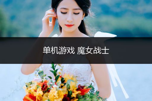 单机游戏 魔女战士