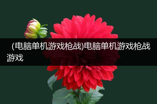 （电脑单机游戏枪战)电脑单机游戏枪战游戏