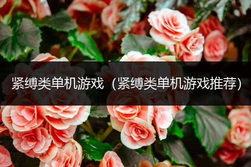 紧缚类单机游戏（紧缚类单机游戏推荐）