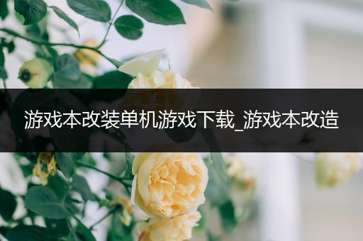 游戏本改装单机游戏下载_游戏本改造