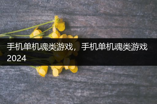手机单机魂类游戏，手机单机魂类游戏 2024