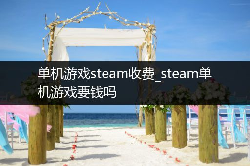 单机游戏steam收费_steam单机游戏要钱吗