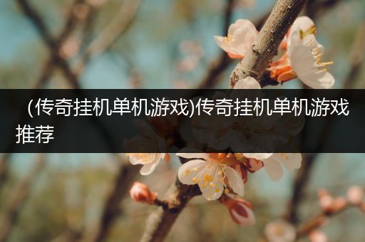 （传奇挂机单机游戏)传奇挂机单机游戏推荐