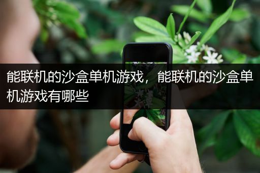 能联机的沙盒单机游戏，能联机的沙盒单机游戏有哪些